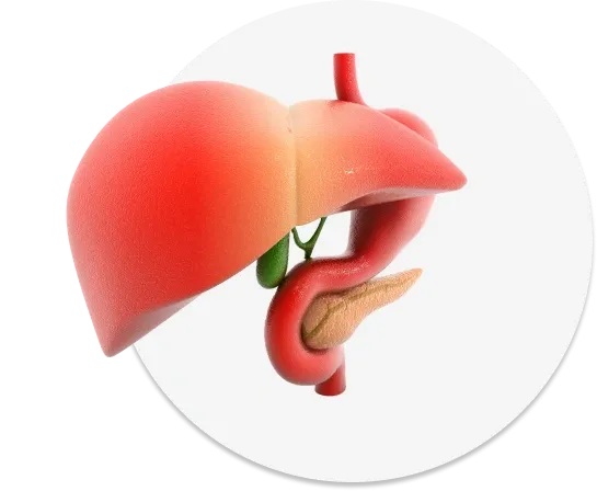 Homepage - image banner header - Pancreatic Cancer Doctor Singapore | TKH Clinic